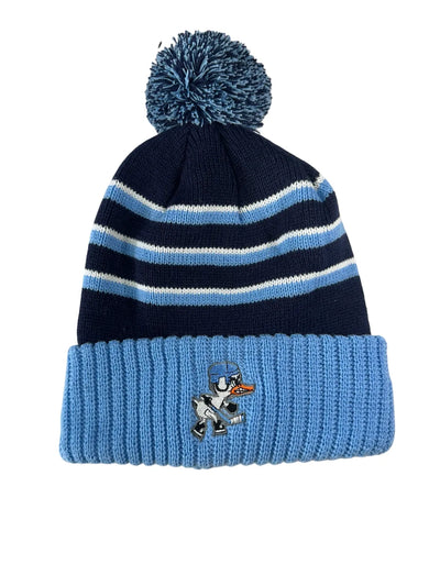 Winter Hat